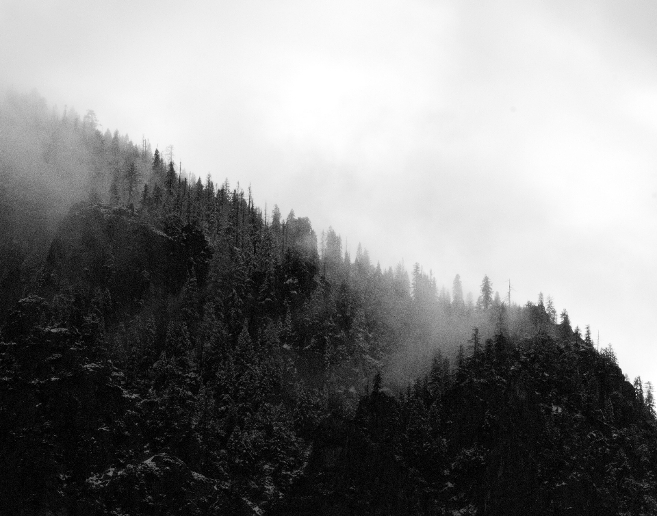 Atmospheric phenomenon mist black white