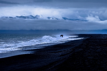 空 波 海洋 海 写真