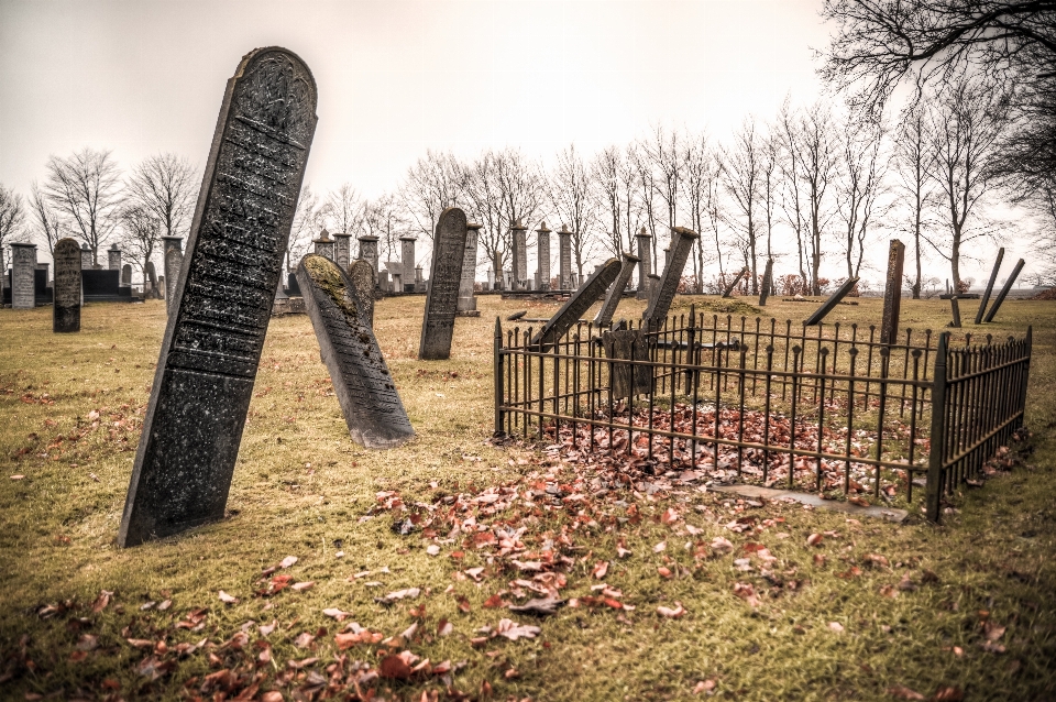 Feuille arbre cimetière grave