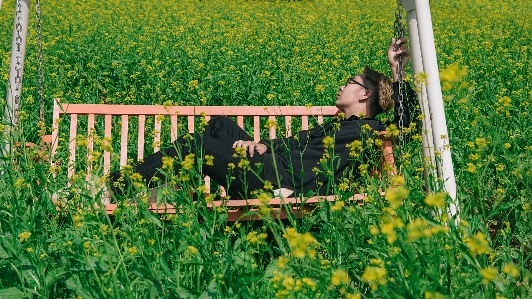 People in nature green rapeseed grass Photo