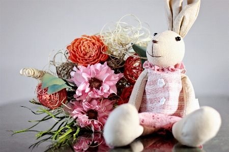 Pink cut flowers rabbit rabbits and hares Photo