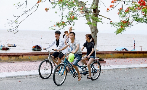 Foto Bicicleta manillar de bicicleta
 rueda vehículo