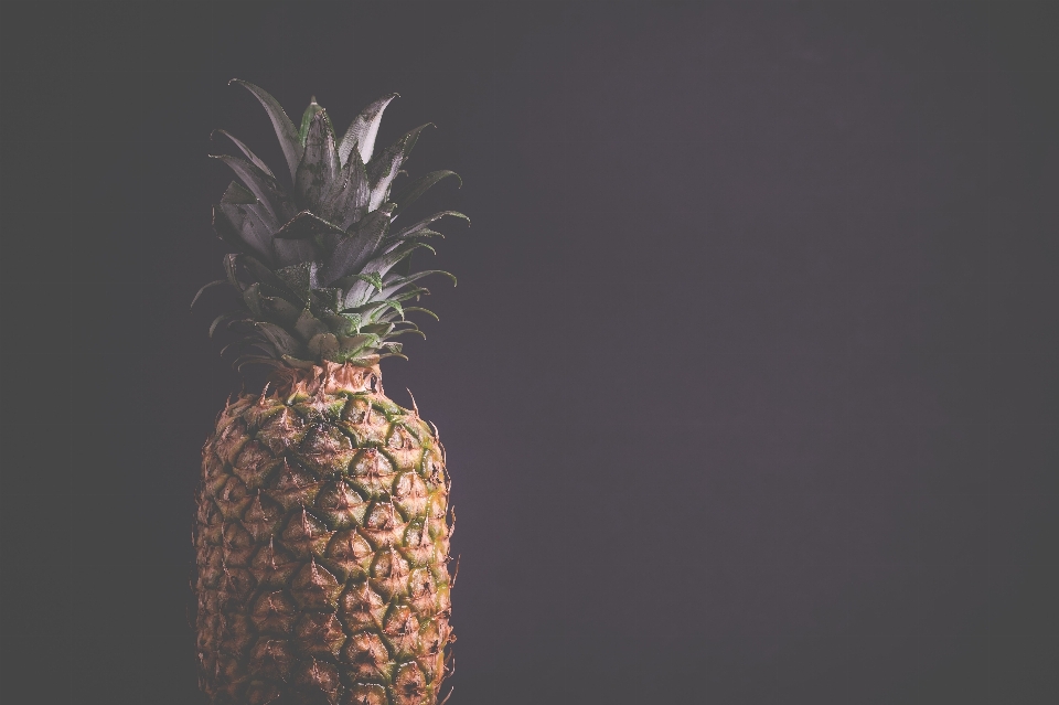 Ananas ananas
 frucht anlage