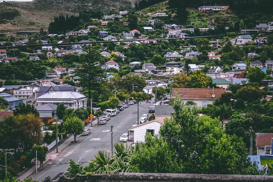 Residential area suburb neighbourhood urban