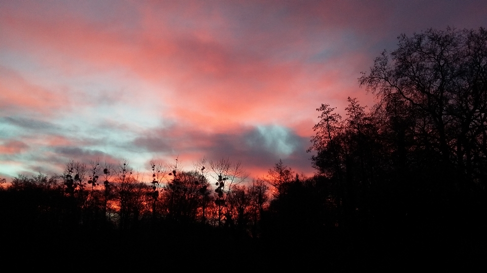 Cielo azul rojo naturaleza