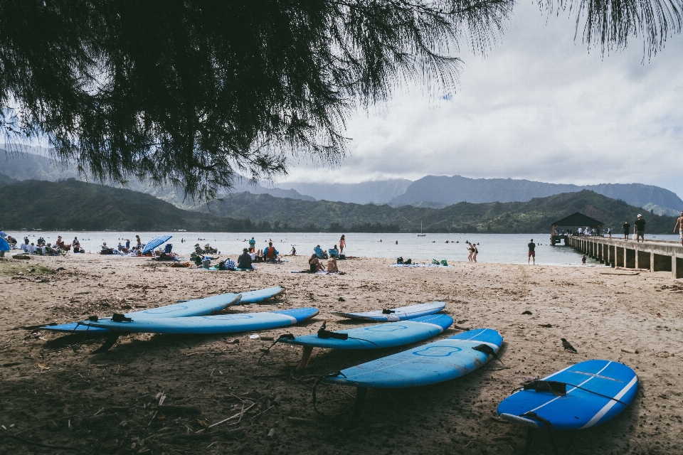 Surfing beach surface water sports coast