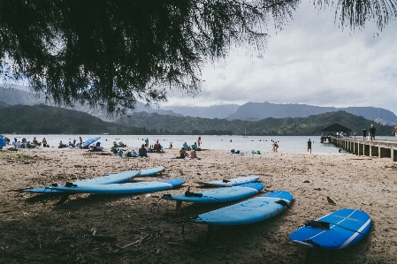 Surfing beach surface water sports coast Photo