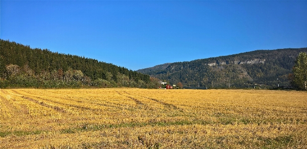 Grassland field natural landscape environment Photo