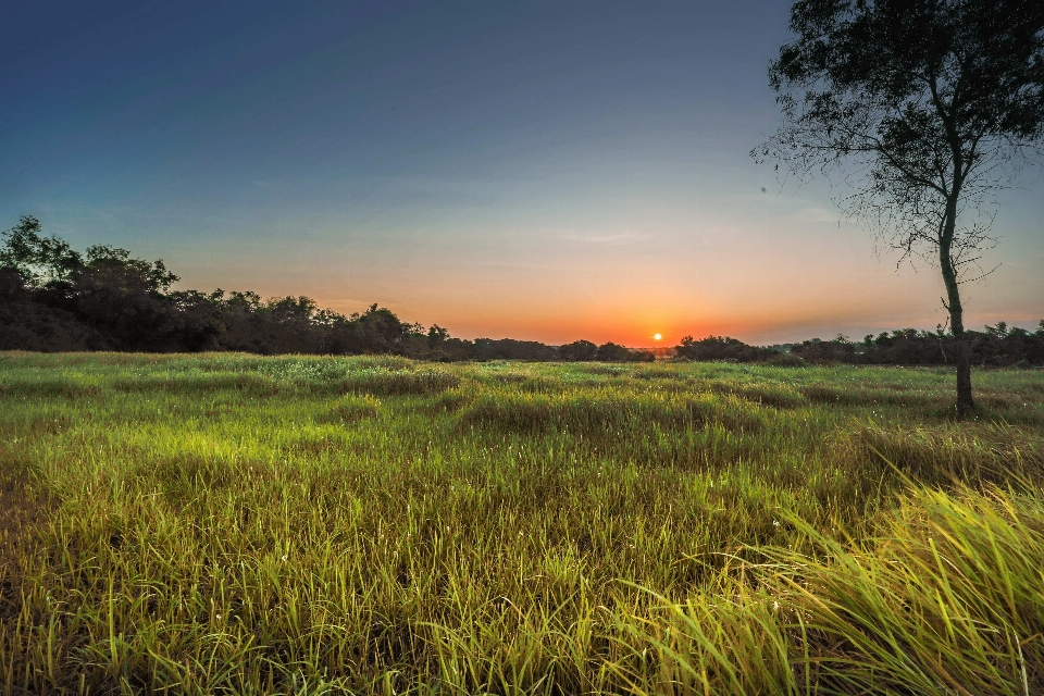 Natural landscape sky nature grassland