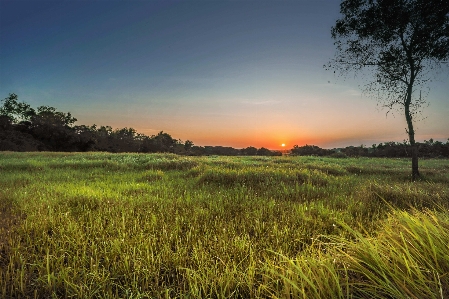 Natural landscape sky nature grassland Photo