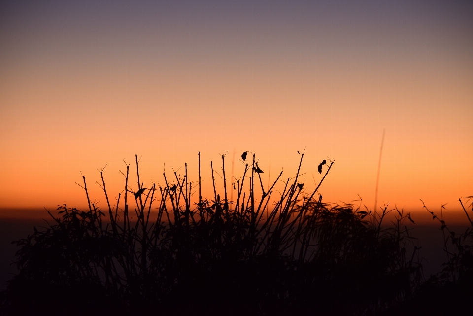 Sky nature horizon natural landscape