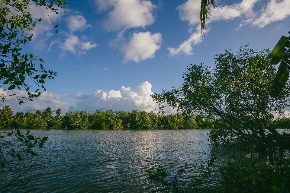 Ciel plan d'eau
 nature paysage naturel
