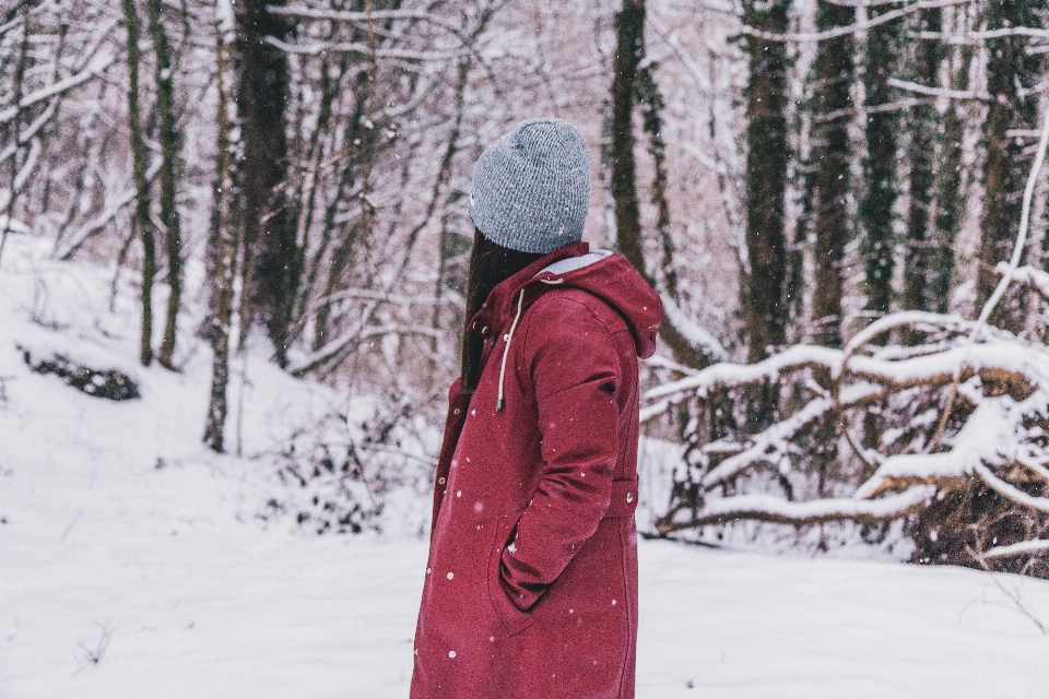 Nevicare inverno congelamento albero