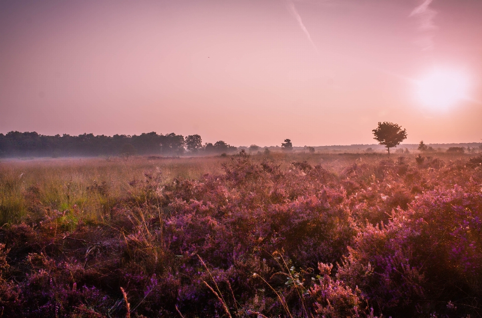 Sky nature natural landscape atmospheric phenomenon