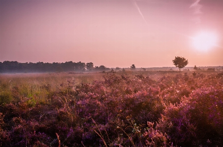 Sky nature natural landscape atmospheric phenomenon Photo