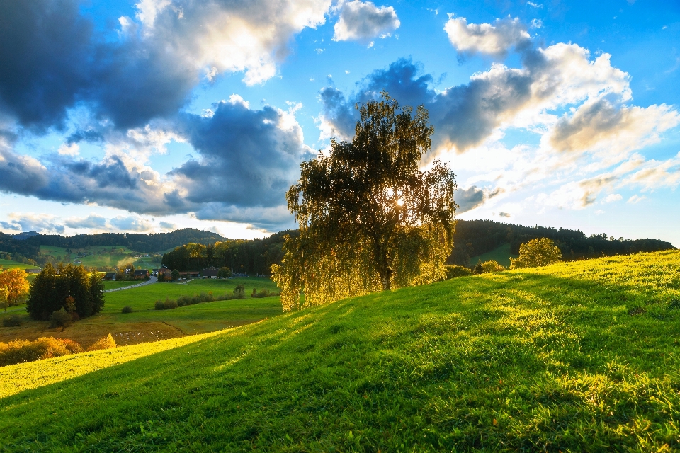 Sky natural landscape nature green