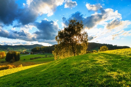 Sky natural landscape nature green Photo