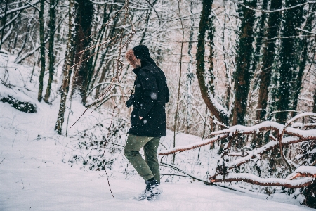 Snow winter people in nature tree Photo