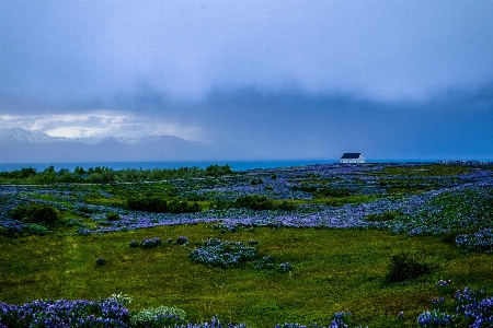 Natur himmel wiese
 natürliche landschaft
 Foto