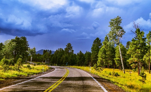 道 空 自然の風景
 自然 写真