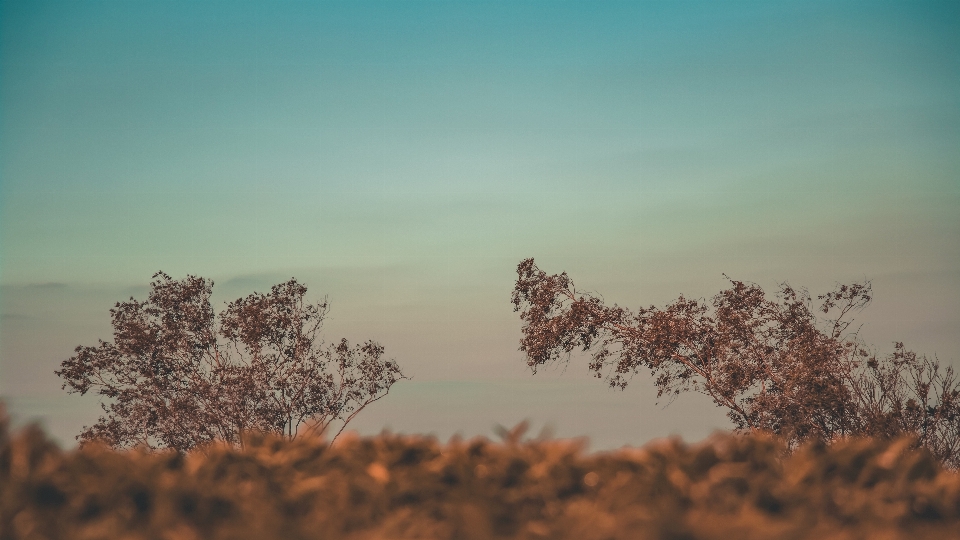 Cielo natura fenomeno atmosferico
 paesaggio naturale
