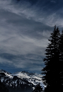 Sky cloud nature tree Photo