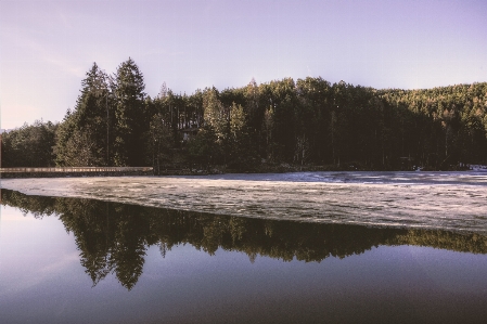 Reflection body of water nature Photo