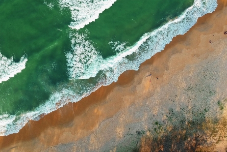 绿色的 水 海浪 世界 照片