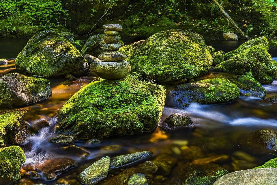 Nature natural landscape body of water stream