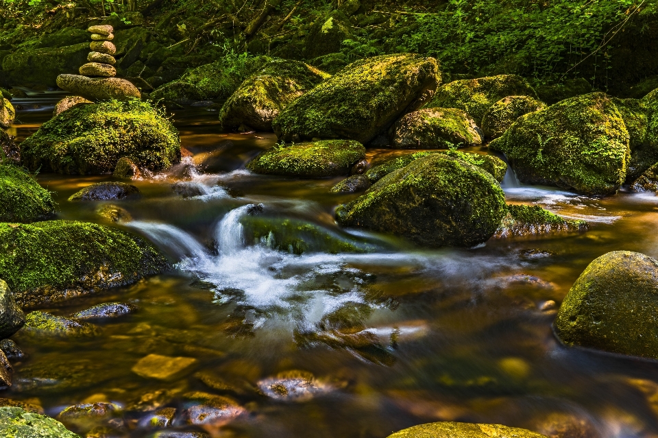 Body of water stream natural landscape nature