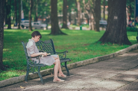 People in nature sitting tree green Photo