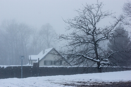 Zdjęcie śnieg zima zjawisko atmosferyczne
 niebo