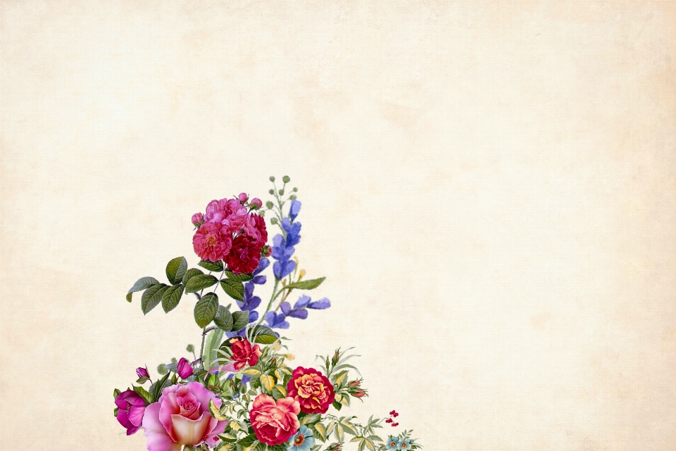 Flower floral background border