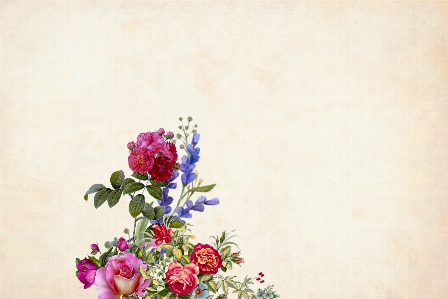 Flower floral background border Photo