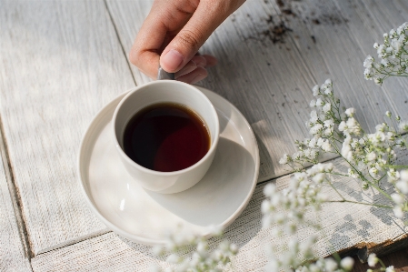 Cup coffee chinese herb tea dandelion Photo