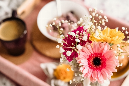 Flower cut flowers arranging plant Photo