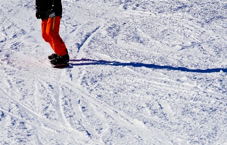 Skier snow skiing winter sport Photo