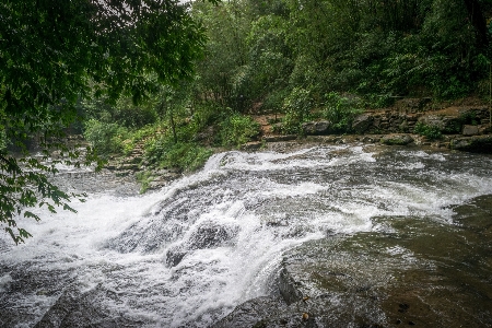 水資源
 水域
 stream 水路
 写真