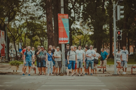 Foto Pohon seru kerumunan peristiwa