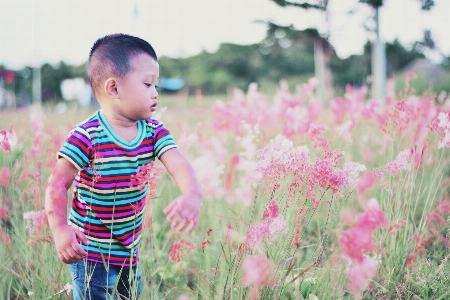 People in nature child photograph pink Photo