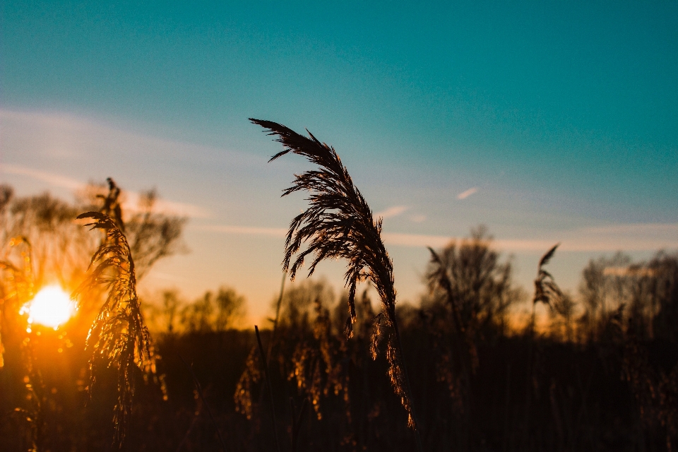 Sky nature natural landscape sunrise