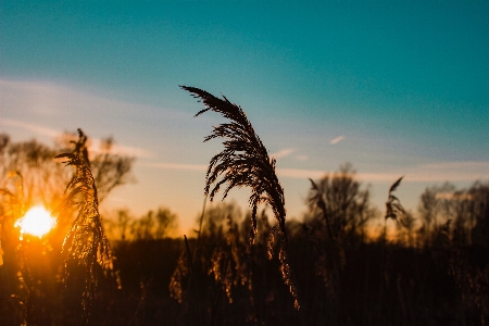 Sky nature natural landscape sunrise Photo