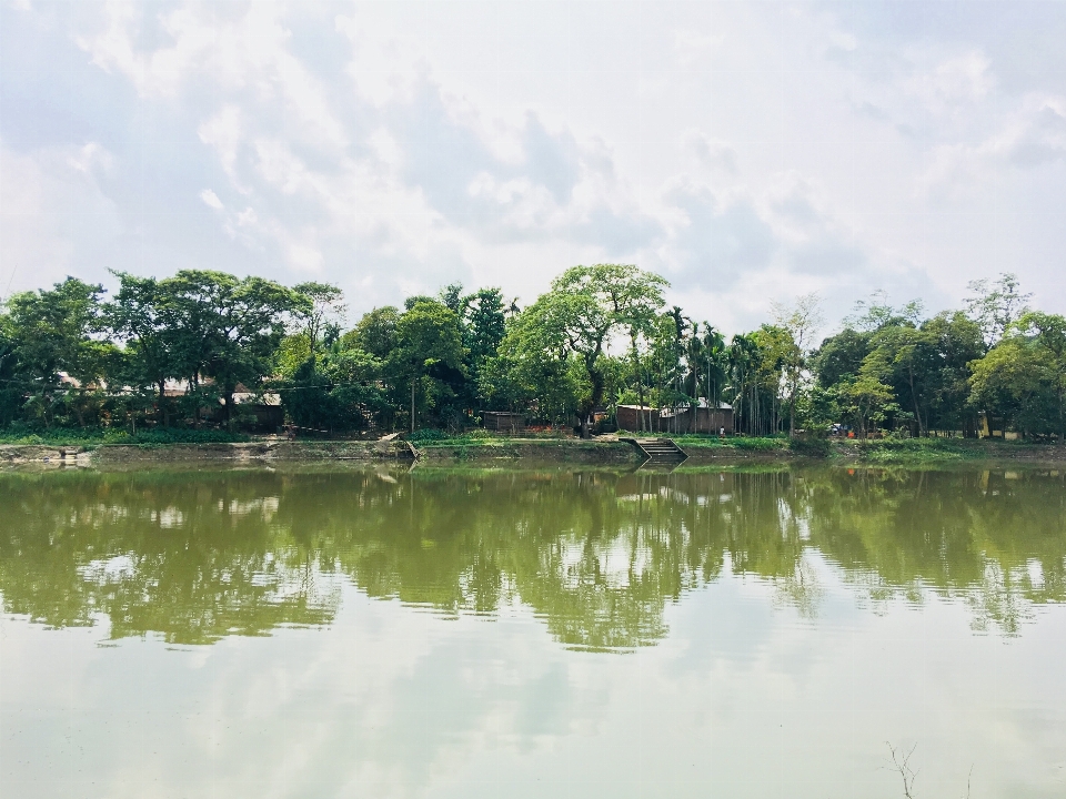 水域
 水資源
 自然 水