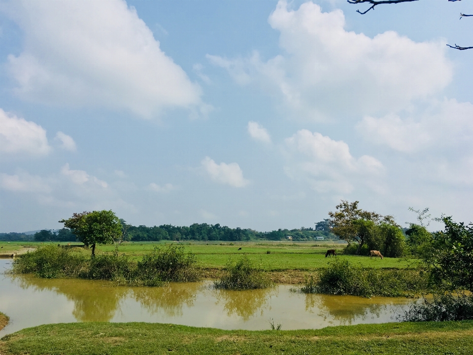 Natural landscape sky nature environment