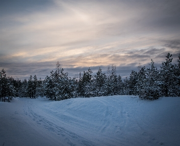 Snow sky winter cloud Photo