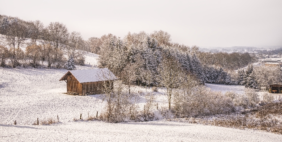 Schnee winter einfrieren frost