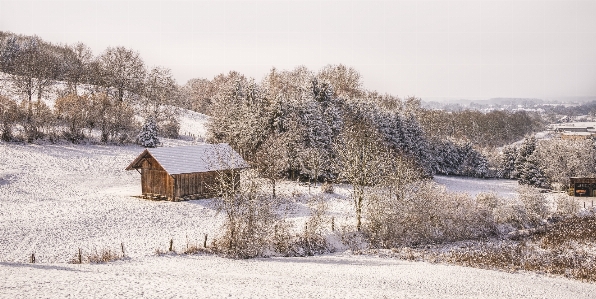 Photo Neige hiver gelé gel