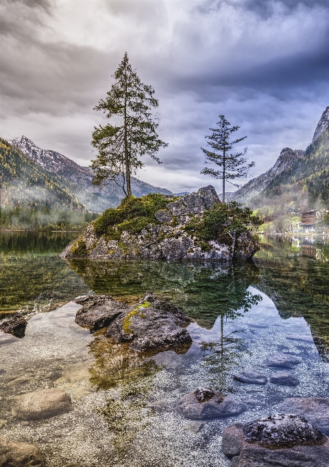 Nature larix lyalliisubalpine larch natural landscape reflection