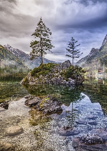 Nature larix lyalliisubalpine larch natural landscape reflection Photo