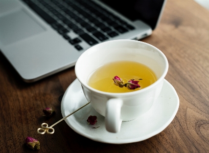 Cup coffee teacup yellow Photo